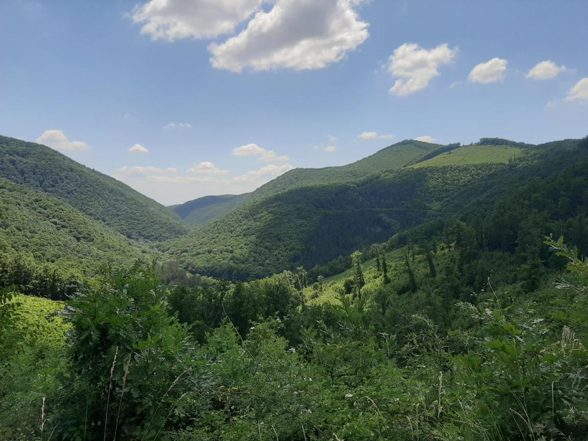 E-Tekergok Haza Hotel Bukkzserc Екстериор снимка